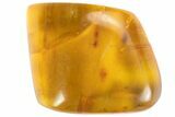 Polished Amber With Detailed Fossil Fly ( g) - Mexico #102494-1